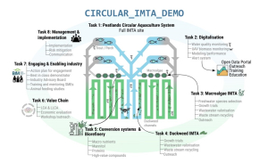 CIRCULAR_IMTA_DEMO
