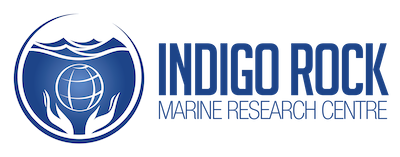 Indigo Rock Marine Research