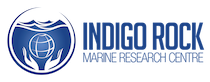 Indigo Rock Marine Research